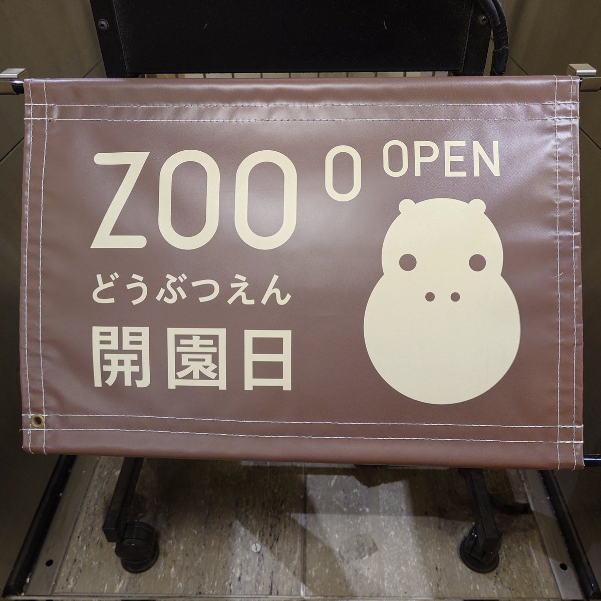 69_850's tweet photo. 何年越しの悲願かわからないけどようやく動物園行けました🐍🐸水族館もハシゴしました🦈 https://t.co/CDiVn1weSP
