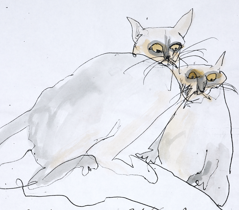SteadmanArt's tweet image. Meow—one syllable of feline tyranny, soft as velvet, sharp as a switchblade. A demand, a curse, a song from the void in fur.

 #MeowDay #RalphSteadman #Cats #Illustration