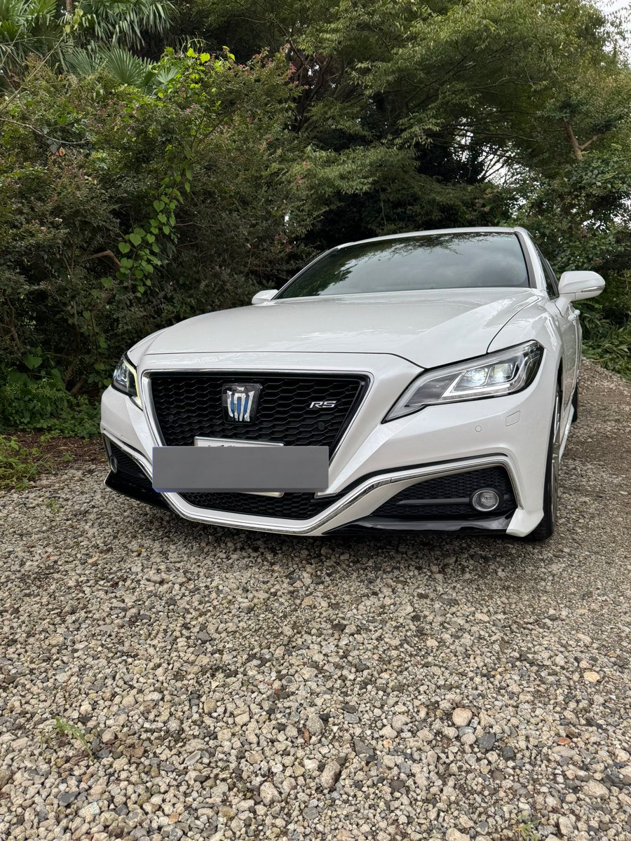 nero🌙 tweet media