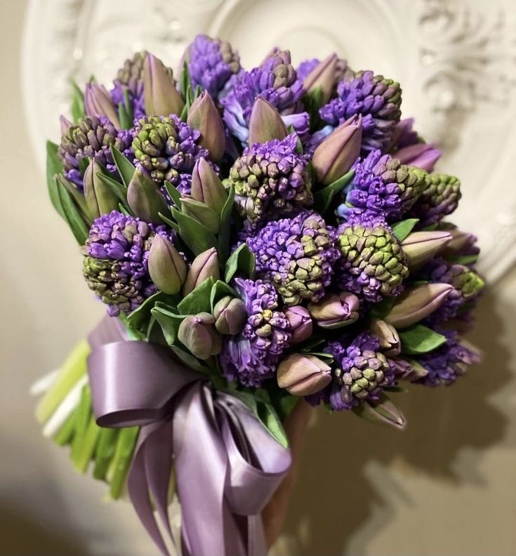 Xylonature (@xylonature) on Twitter photo 