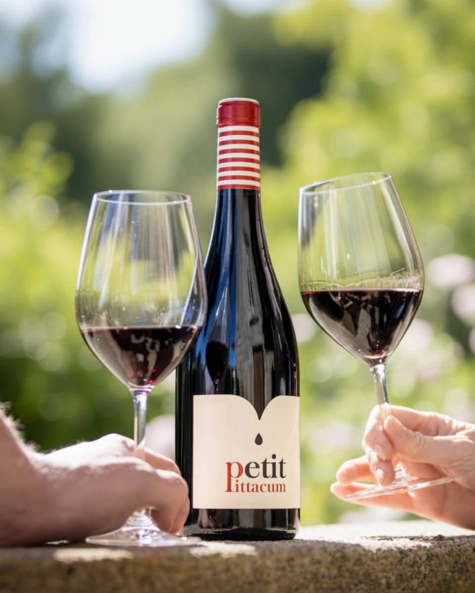 Brindis con vistas que solo combinan con #PetitPittacum 🍷 Persistente, con buen cuerpo, boca carnosa y 100% #mencía.
.
.
#GrupoTerrasGauda #SomosTerrasGauda #BodegasPittacum #Bierzo #Bierzowine #menciawine #vino #wine #winemoments #winelovers #winewinewine #wineoftheday