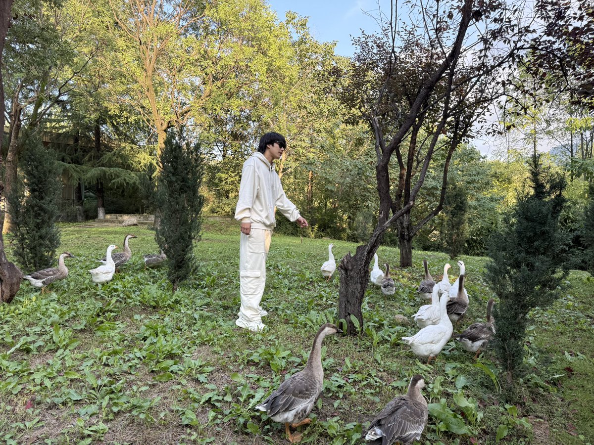 หมาแพนดึ้🐼 西安第一天：秦岭野生动物园✅️