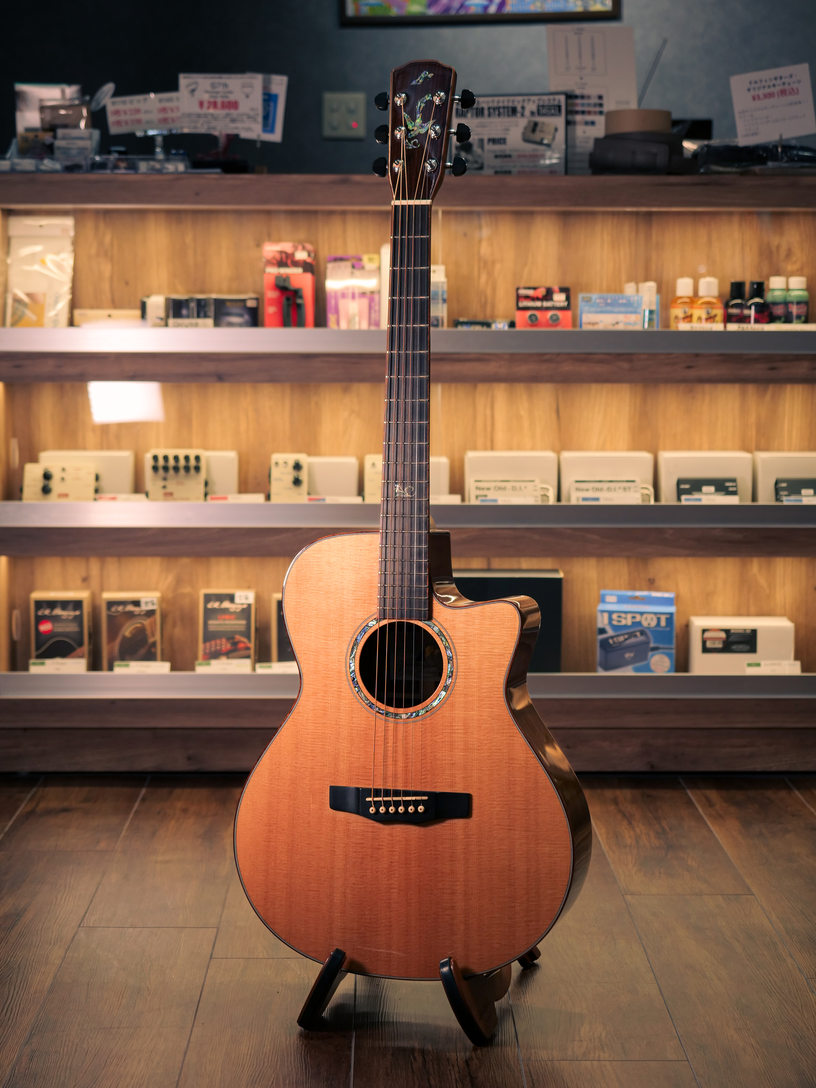 ギター Morris FOLKGUITAR モーリスギター MORRIS GUITARS (@morrisguitars) / X
