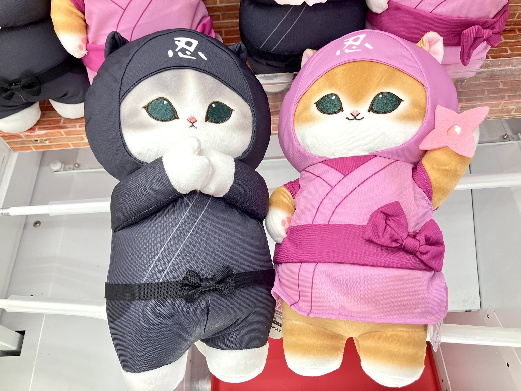 タイステ旭店 on X: 