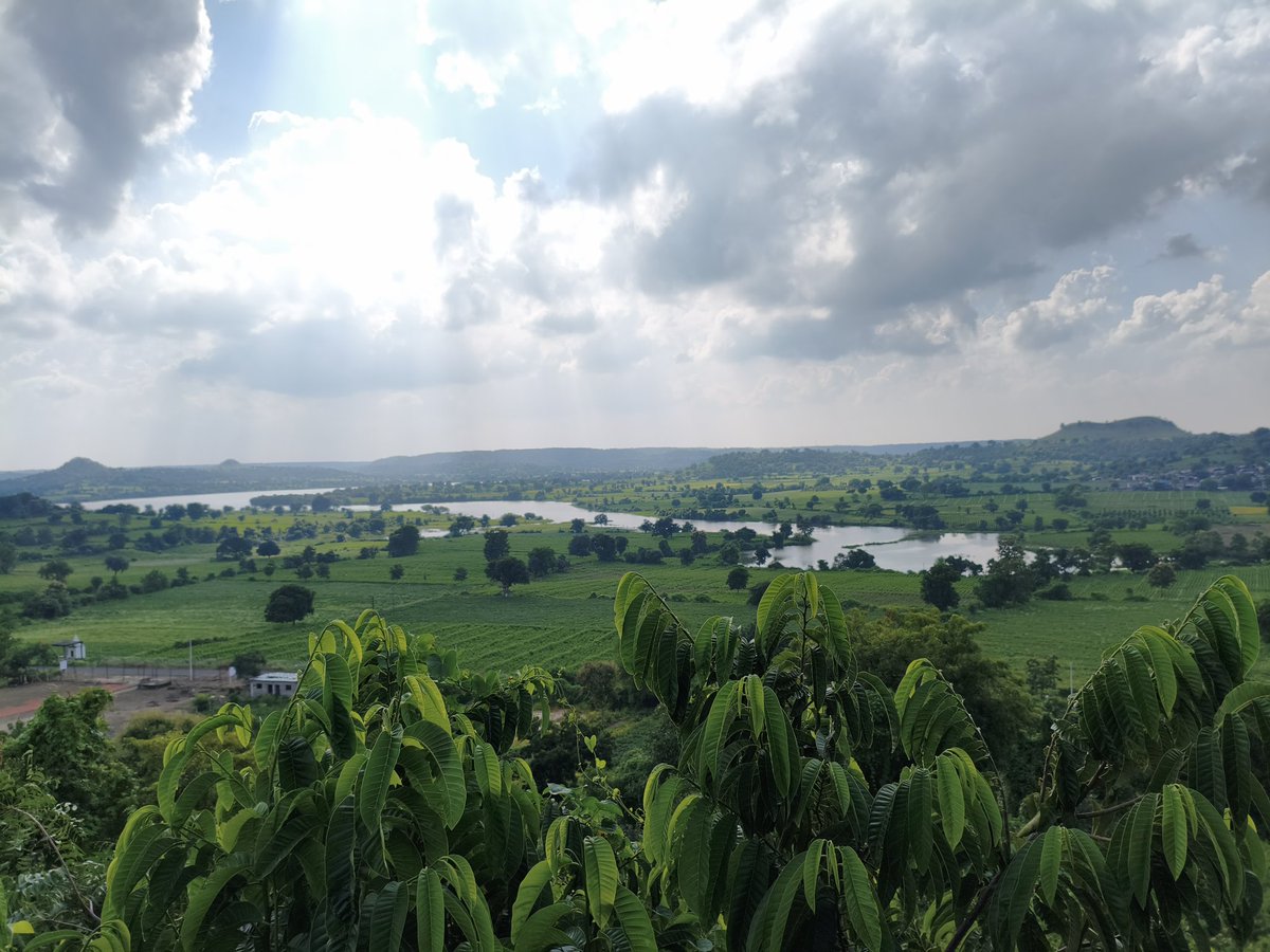 "Sometimes, just looking at nature is enough to refresh the soul 🌳🌾☀️"
#PeacefulVibes #NaturePhotography