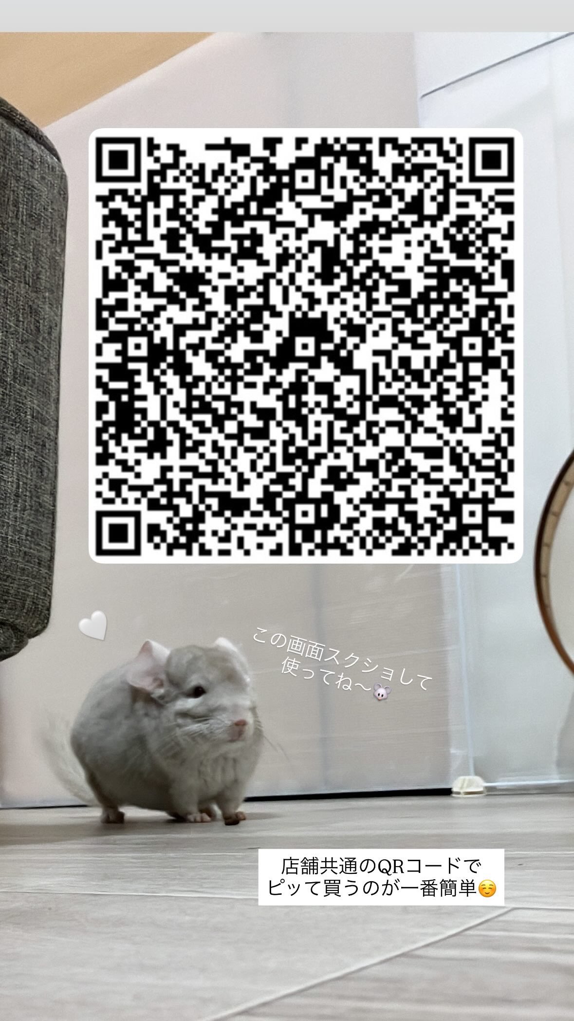 くまお Amazon.co.jp: サンエックス すみっコぐらし お着替えすみっコ