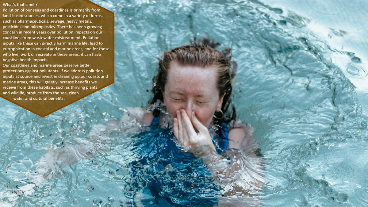 💩According to <a href="/NaturalEngland/">Natural England</a>’s #StateofNaturalCapital report, #pollution currently has a very high impact on English #coastalmargins, and a moderate impact on #marine habitats; this impact is set to continue.

Link: tinyurl.com/mu2ycjua
📷: Claudia Manas, Unsplash