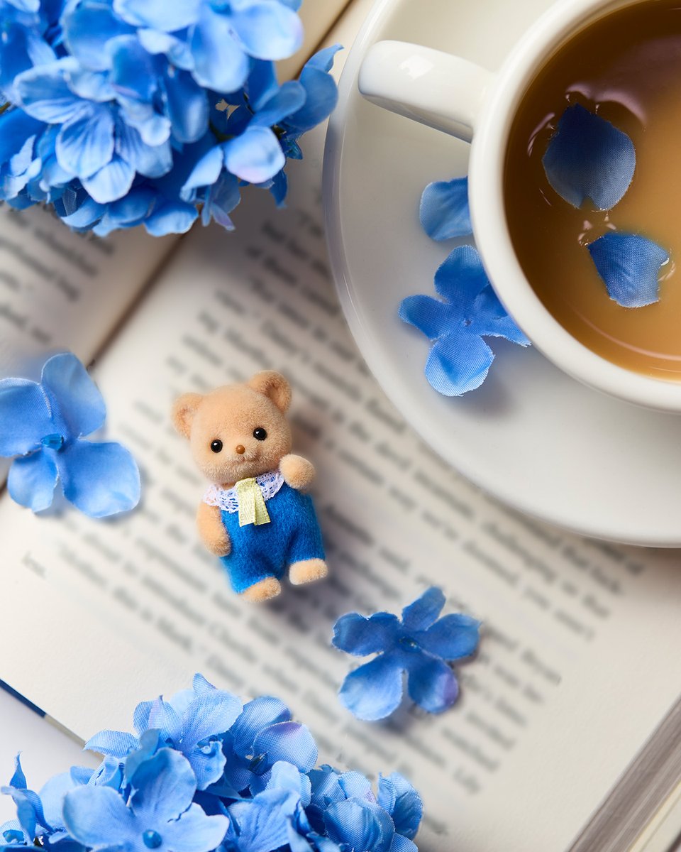 好きな本を読みながら、シルバニアファミリーの赤ちゃんといっしょにティータイム♪

みなさんも、ちょっと一息つきませんか？☕

#シルバニアファミリー #シルバニア
#ティータイム #シルバニア赤ちゃん
#InternationalDayofPeace #国際平和デー