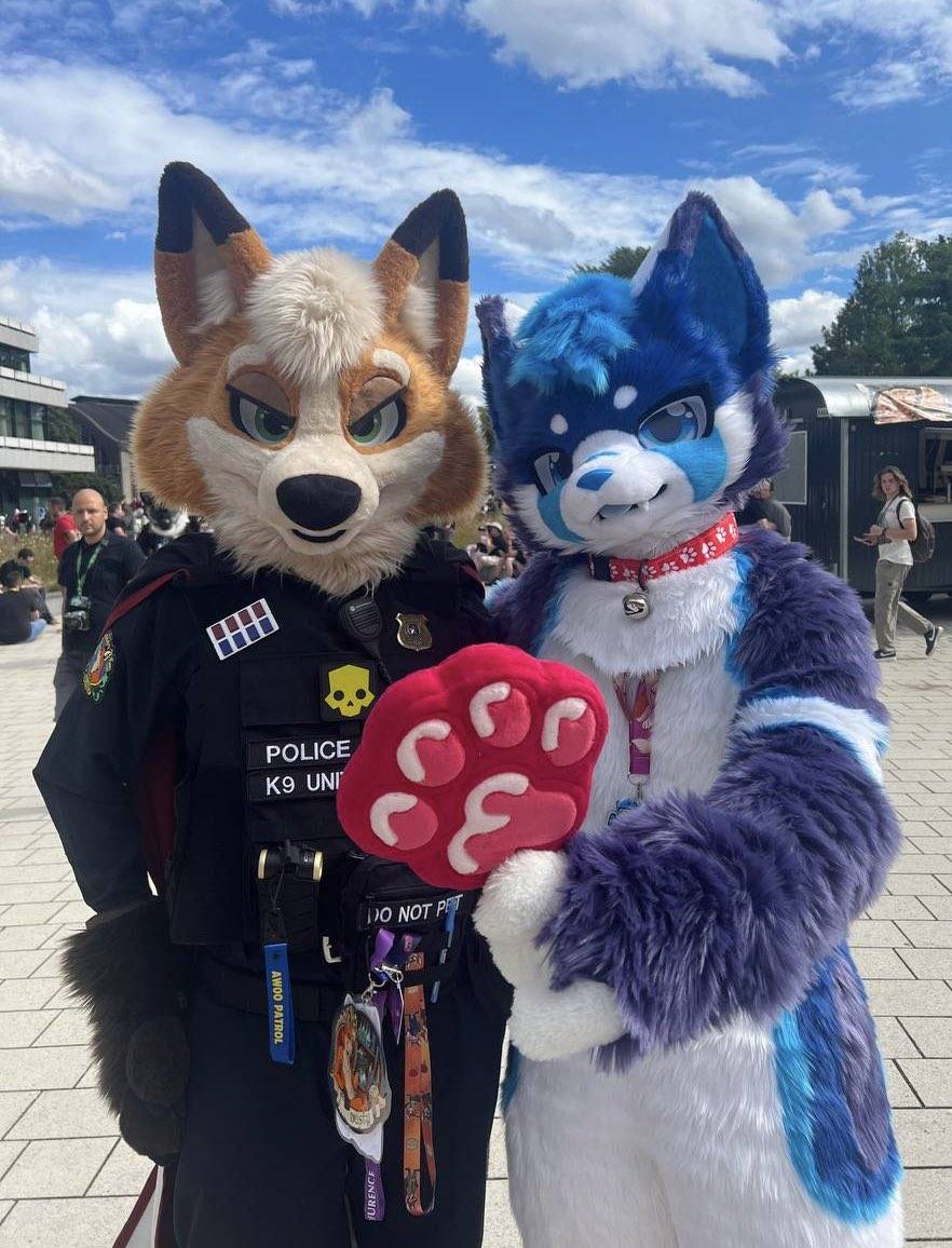 Happy #FursuitFriday ^^

Perfect weather today to have a nice pawpsicle ice
Even tho I look a bit angy I still gonna share this one with the cute <a href="/frodo0o/">Frodo!!!🔜NFC</a>  :3

#Eurofurene29