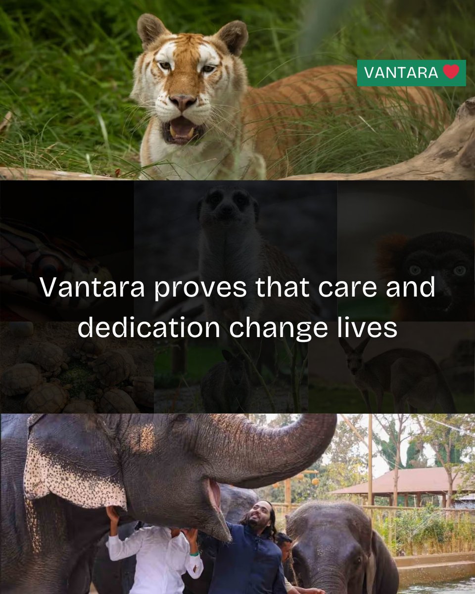 If resources must be used, let them be used for survival, for life, for care.