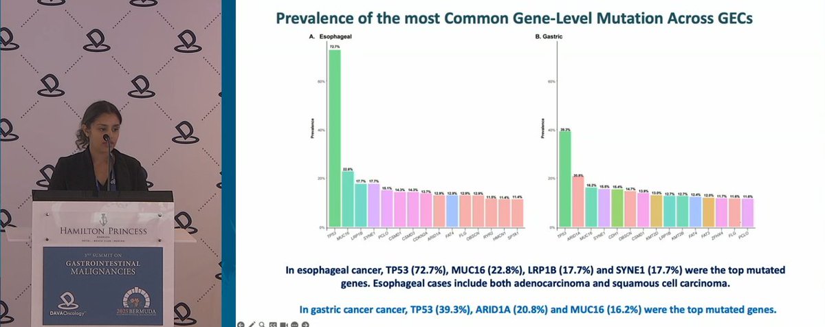 DAVA Oncology (@davaonc) on Twitter photo Dr. <a href="/ReetuMukherjiMD/">Reetu Mukherji, MD</a> shares WES of 5,872 gastroesophageal cancers: TP53 dominant in EC, ARID1A/CDH1 enriched in GC. Large real-world dataset highlights distinct mutational landscapes by site, guiding precision strategies in EGC #DAVAGI Dr. <a href="/ReetuMukherjiMD/">Reetu Mukherji, MD</a> shares WES of 5,872 gastroesophageal cancers: TP53 dominant in EC, ARID1A/CDH1 enriched in GC. Large real-world dataset highlights distinct mutational landscapes by site, guiding precision strategies in EGC #DAVAGI