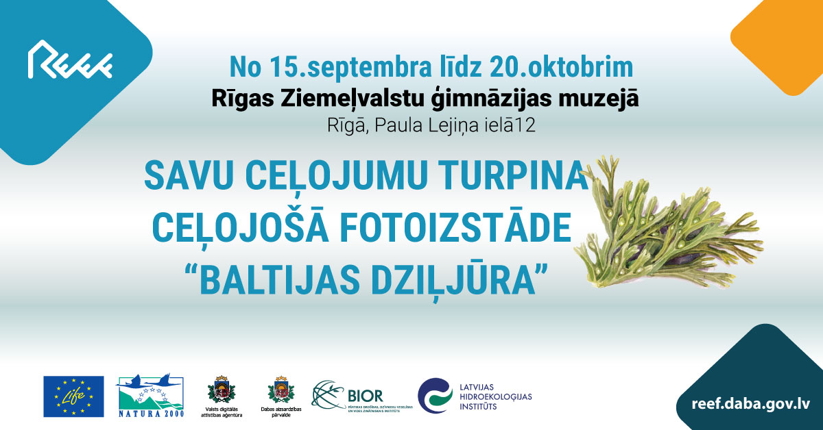 ProjektsReef's tweet image. Šī ir lieliska iespēja ieraudzīt Baltijas jūru tādā gaismā, kādā tu to, visticamāk, vēl neesi redzējis!