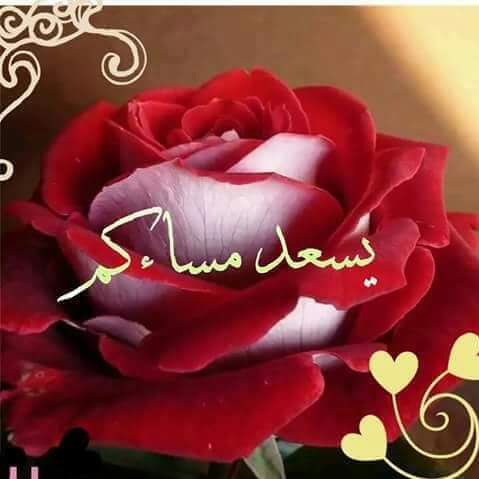 🌸maha🌸 tweet media