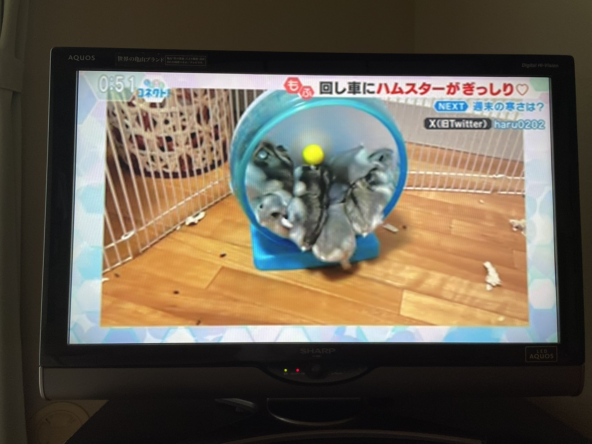 ハルさま確認ページ♥ 9月前半戦💛 最近のコーデたち💛🫧