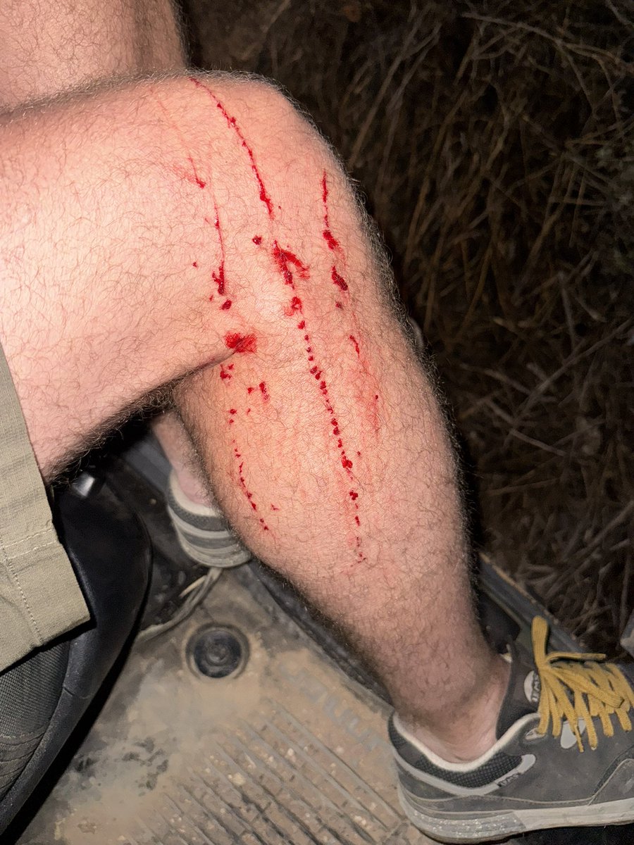 Mike Olbinski tweet media