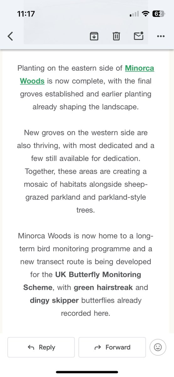 TreeClubWood tweet media