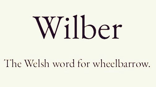 arealmofwonder's tweet image. Words for the Weekend 🥳

Pick your winner ⭐️

A B
C D