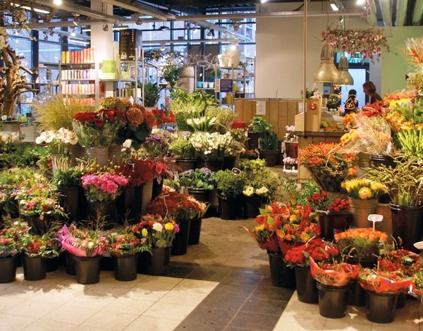 Wim Jansen Bloemen sluit na bijna 80 jaar het familiebedrijf in Winkelcentrum Bloemendaal eind 2025 haar deuren in #Gouda. Vanaf 1 november zal er nog enige tijd een outlet-store open zijn zonder verse bloemen en planten 💐 facebook.com/photo/?fbid=13…