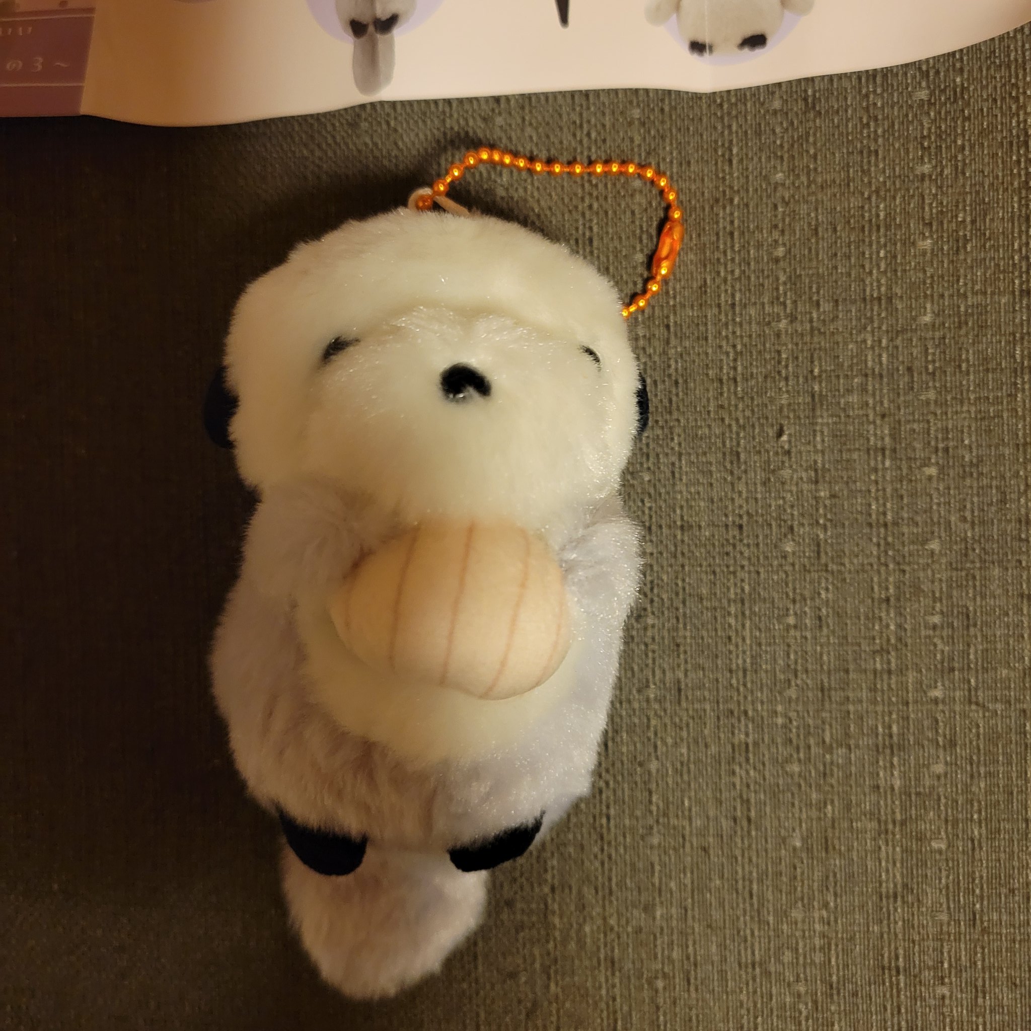 らっこまん (@nekorako) / X