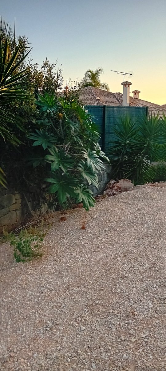 Cuando hacen obras y aparecen... ¿Sabéis la causa?
🧐

...

...
🤔🤫🤨🙄