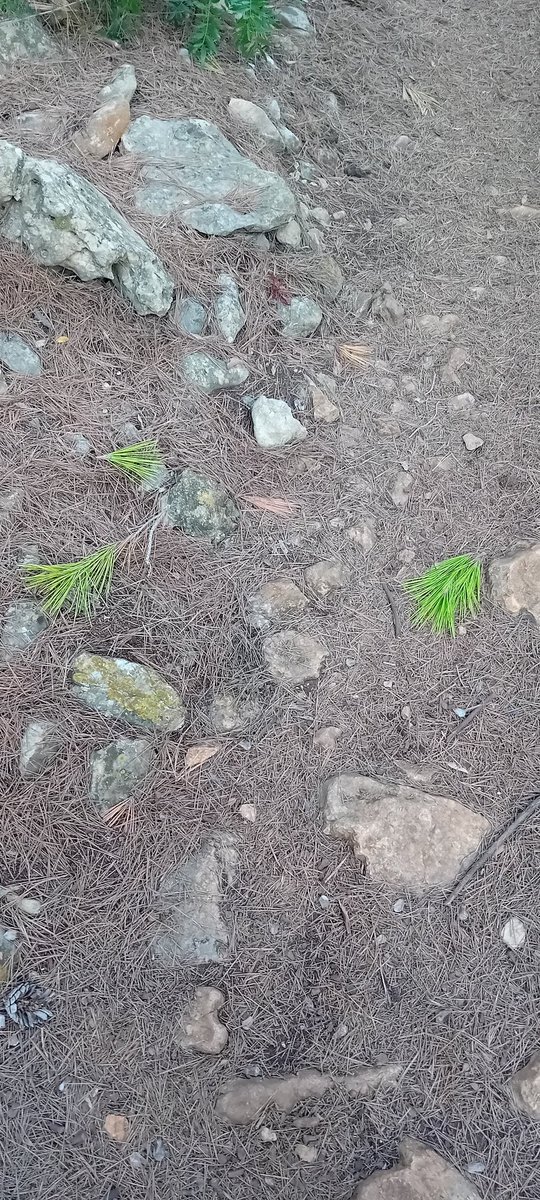 Ya se empiezan a ver...