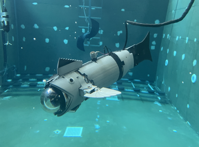 Asociación RUVID tweet media