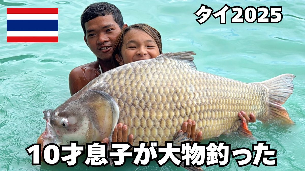 Lilly(リリー&ひーちゃん) (@Lilly_Family) / Posts / X