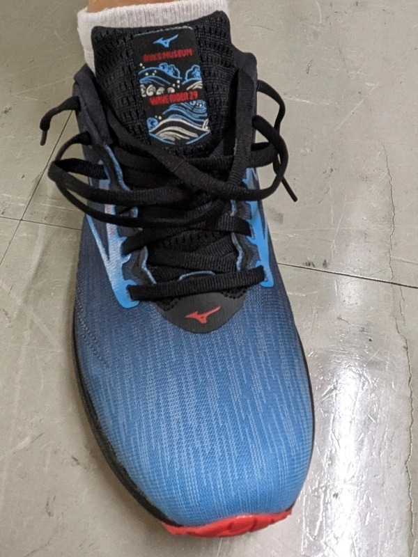 スタッフのおすすめ！／ WAVE RIDER 29 アムステルダムモデル！ ミズノ