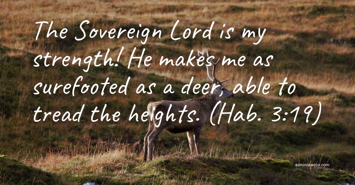simonlawton's tweet photo. Today - look to Him for everything you need.

#dailyencouragement #christianity #dailydevotional #bibleverse #thoughtfortheday #dailyinspirational #thoughtoftheday #christianinspiration #christianliving #bibleversedaily #biblescripture #scriptures #scripture #dailyscripture https://t.co/DkeMbu73g6