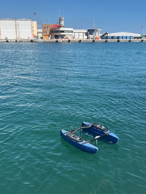 Asociación RUVID tweet media