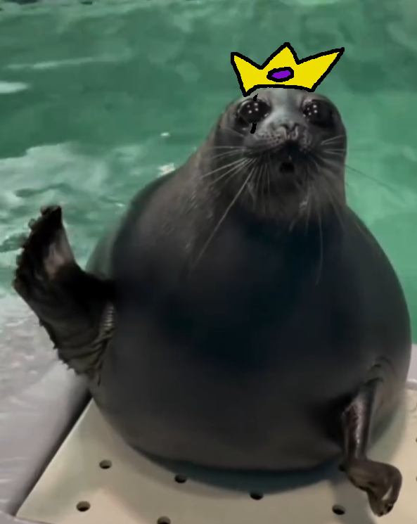 the life I would be living if I was a seal bro