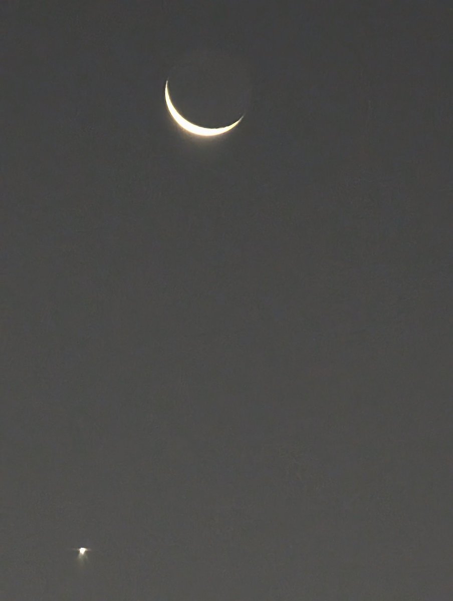 r34rgtr  tweet media