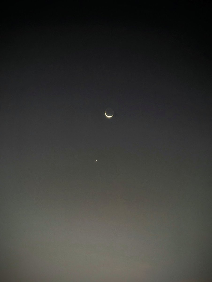 r34rgtr  tweet media