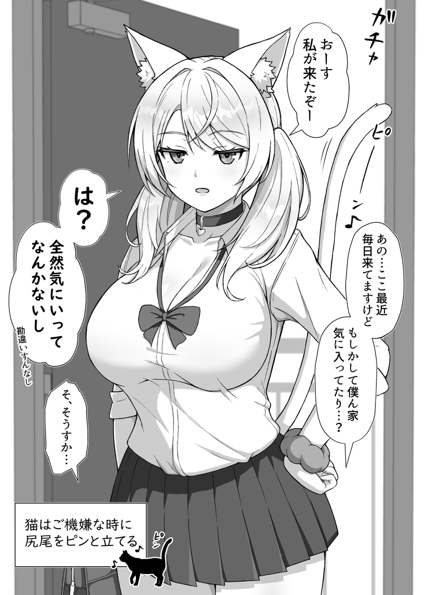 ウチをたまり場にしてる猫ちゃんギャル 