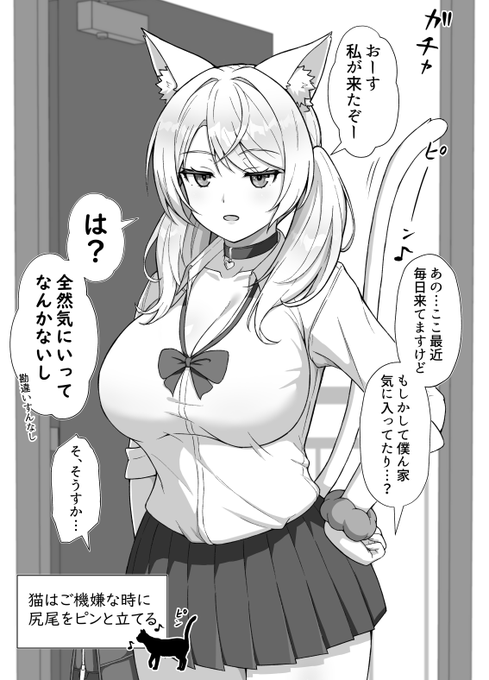 ウチをたまり場にしてる猫ちゃんギャル 
