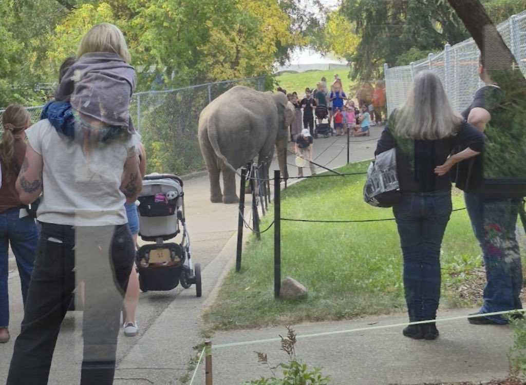 Cosmicbrigade's tweet image. #FridayFeelings 
Somehow, in all the fear &amp;amp; suffering #Lucy still believes.
Believes that someone, anyone, would see her suffering.
That  🥰was real &amp;amp; that kindness existed &amp;amp; that she mattered.
She still has hope, she still believes someone will help.
@AndrewKnack will you 🆓Lucy