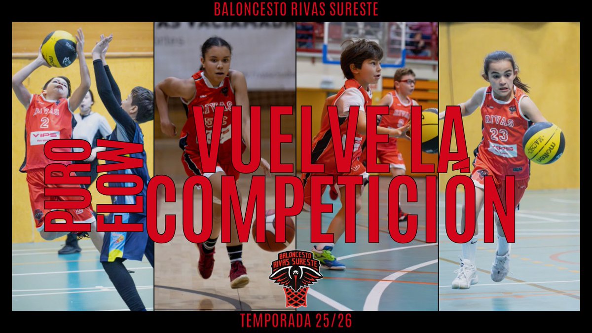 Baloncesto Rivas Sureste tweet media