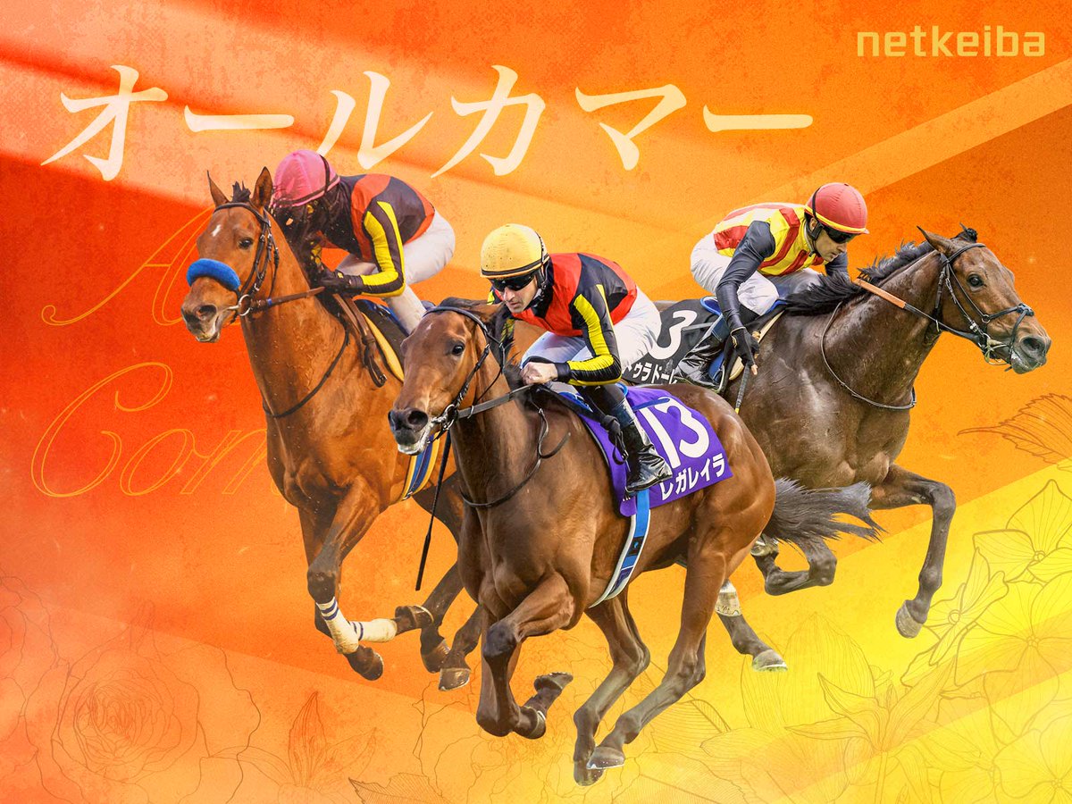 THE LINK 絶対連動 発見！永遠に続くJRA馬番リンク 【公式通販】