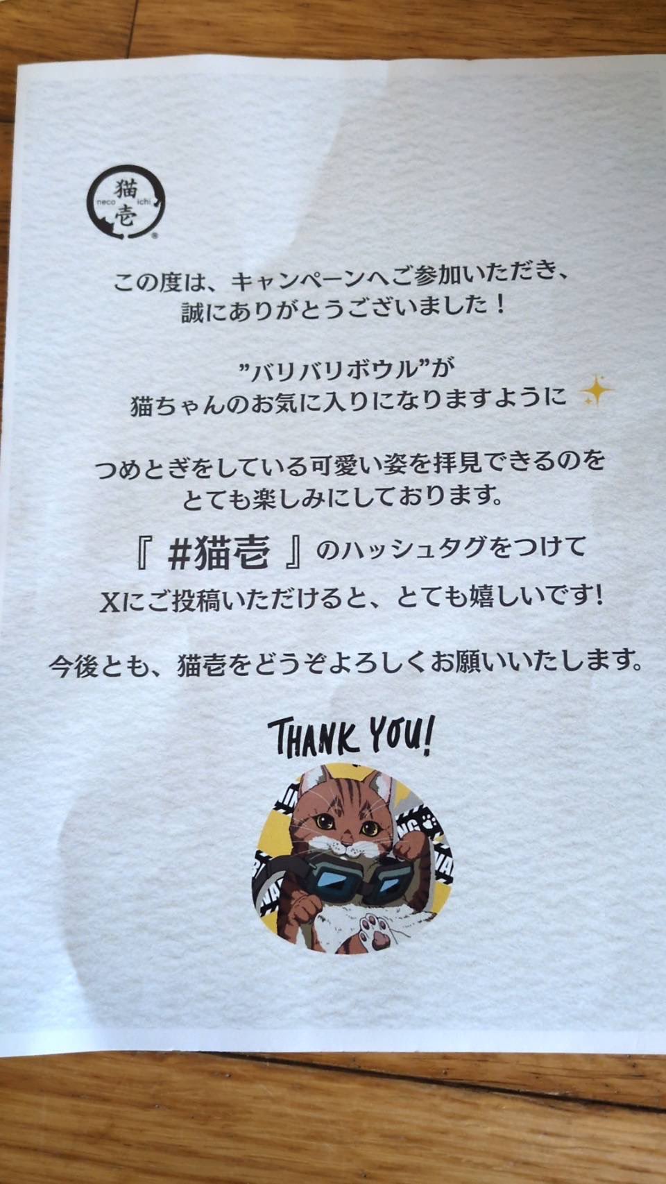 猫壱（necoichi）公式 (@necoichicojp) / X