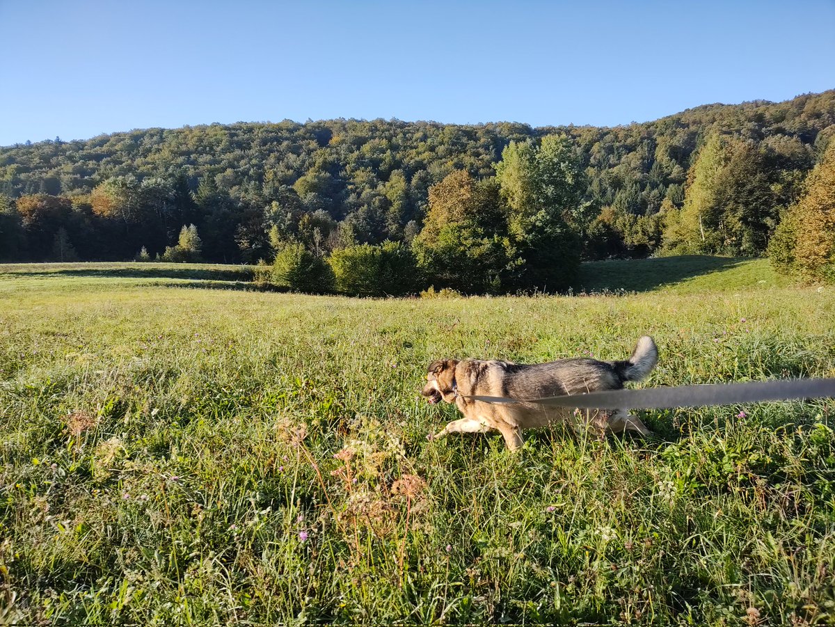 Jure Sah 🇪🇺🇸🇮 tweet media