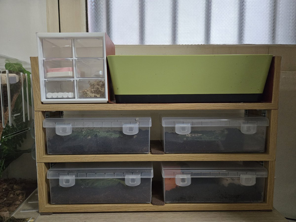 달팽이 연립주택 건설