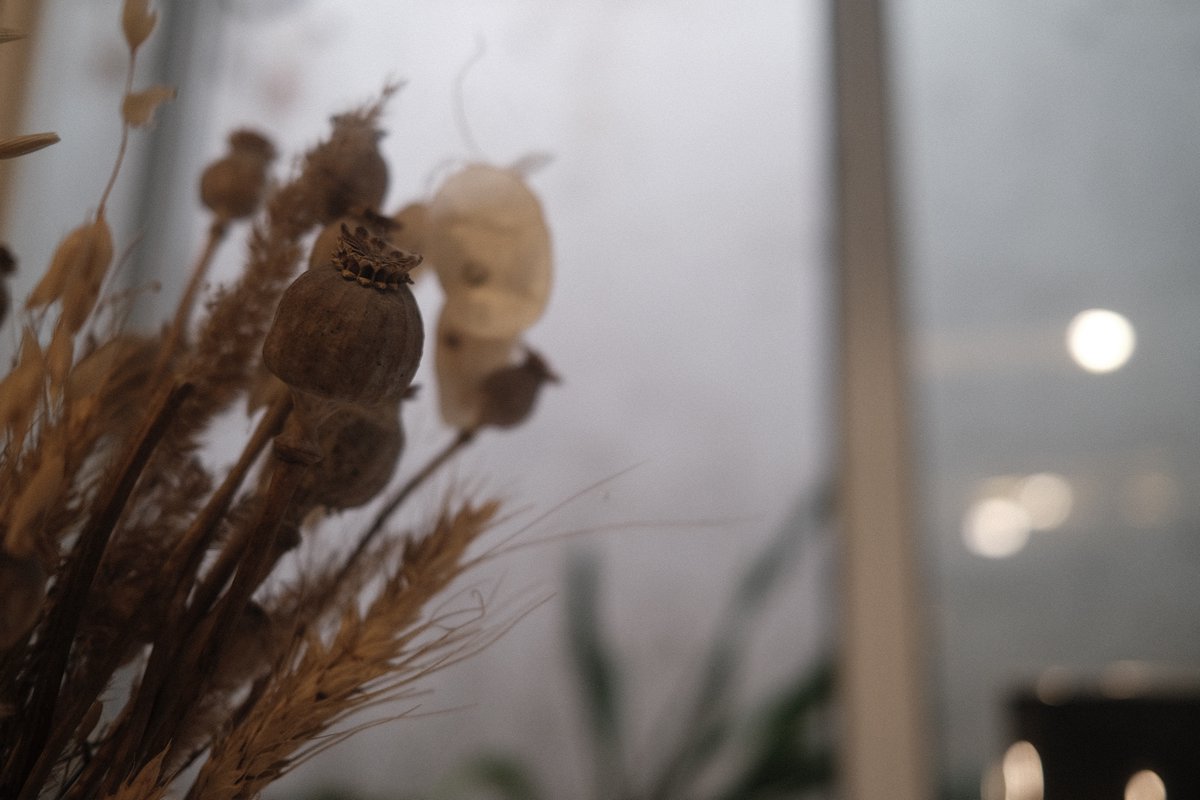 Вабі #київ #кераміка