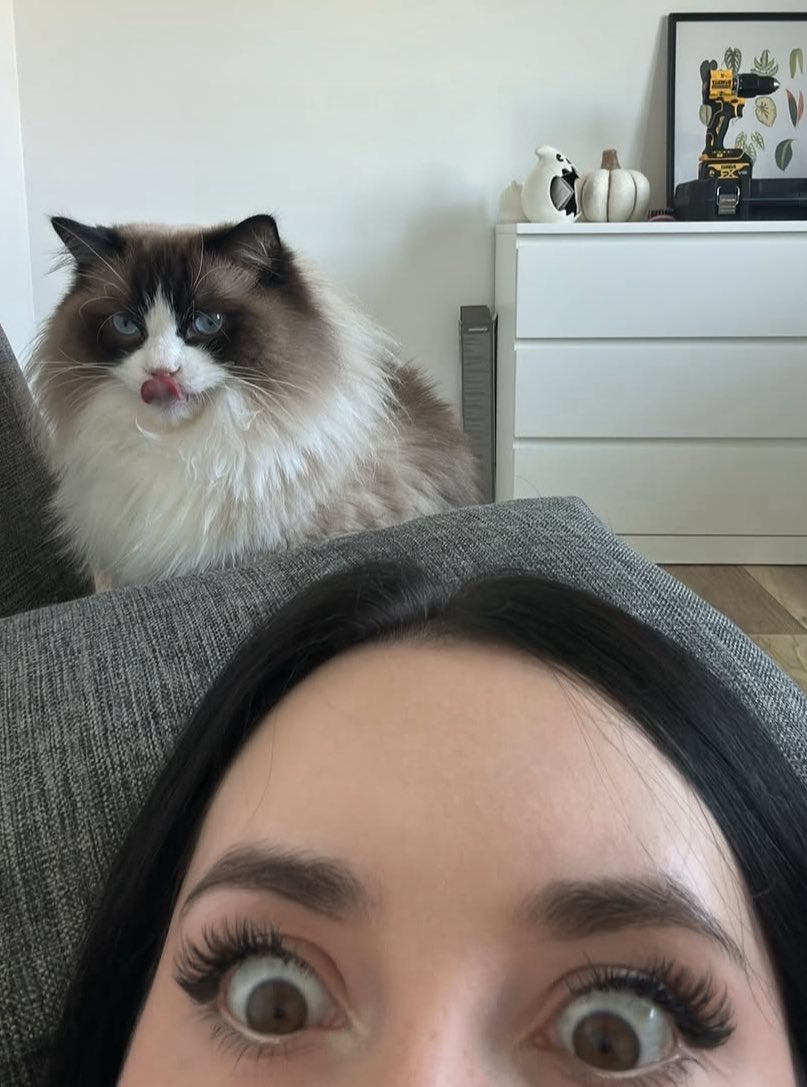 Guten morgen
was sehen Sie auf diesem Foto?