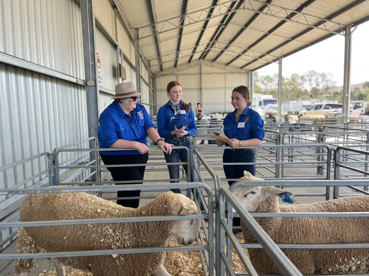 Merriwa Central School tweet media