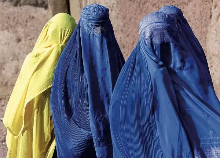 eel_electro's tweet image. This more for your taste?