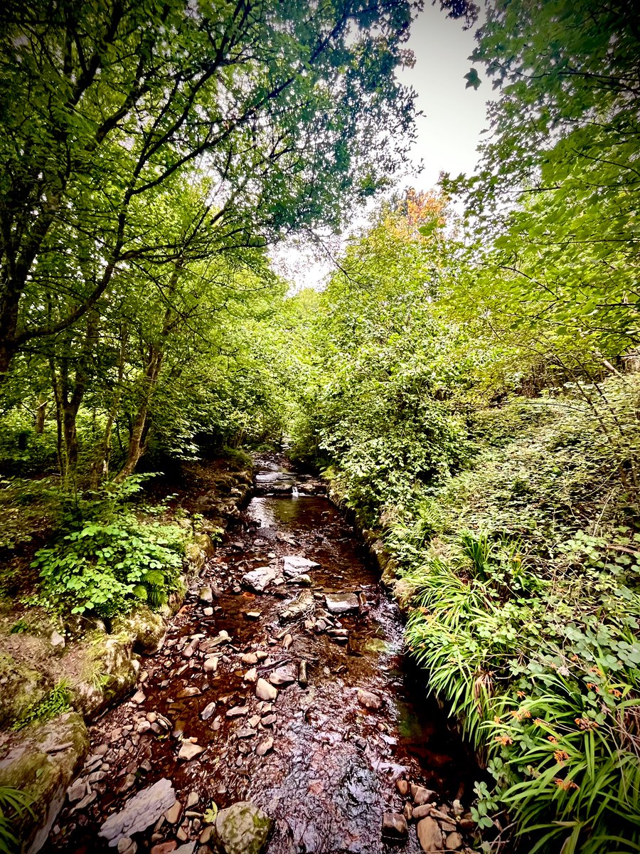 Wishing you all a fabulous Friday! 💚

#NatureBeauty #NaturePhotography