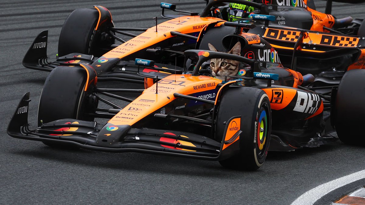 jopehaley's tweet photo. Lando better watch out for Purrastri
#F1 #AzerbaijanGP #PaddockCat https://t.co/AXnTAPLVwN