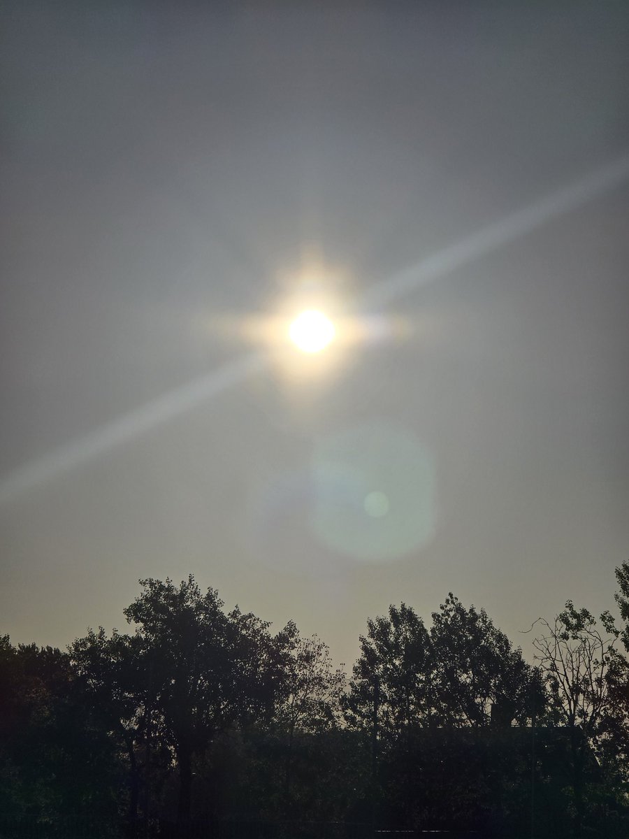 Et_smartere_liv's tweet image. Nyter litt tidlig dagslys på fine #Grorud. Ryktes å være bra saker.

Ha en flott dag, alle sammen ☀️