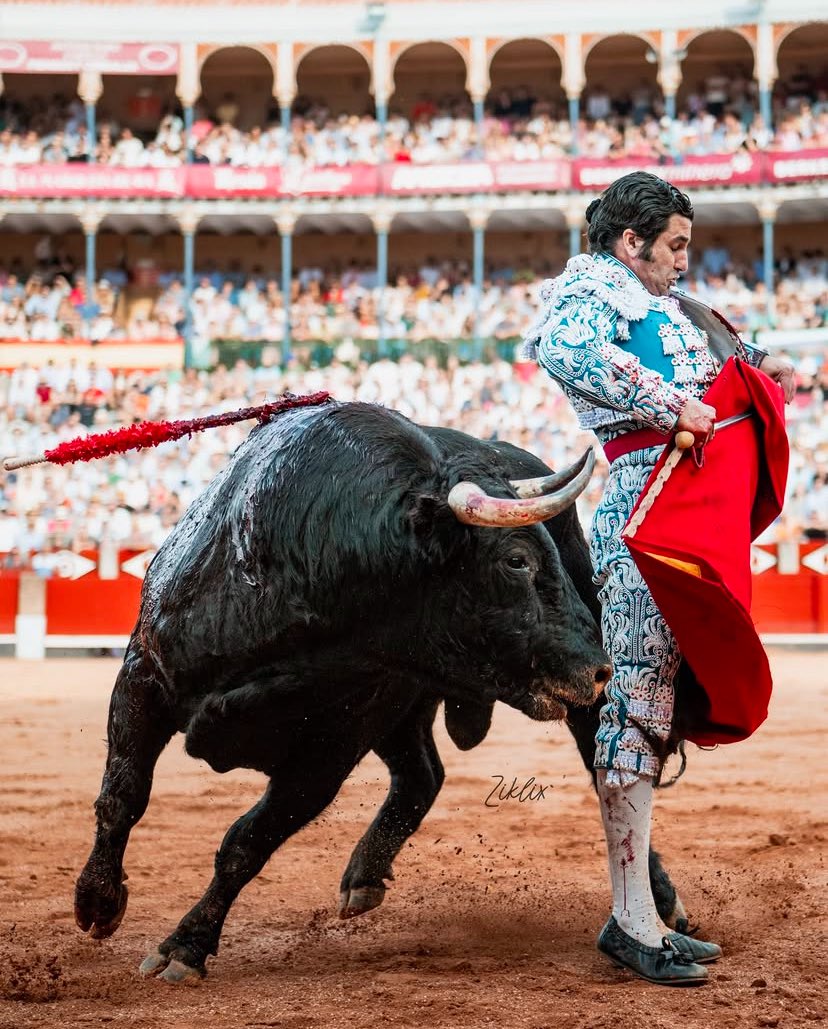 ¡Feliz Viernes, señores!
Hoy vuelve Morante y lo hace en un lugar donde el pasado 14 de Julio bordó el toreo. Esperemos que sea una de esas tardes para el recuerdo. La Glorieta le espera. ¡Suerte, maestro!
📸 <a href="/ziklix_photo/">Ziklix</a>