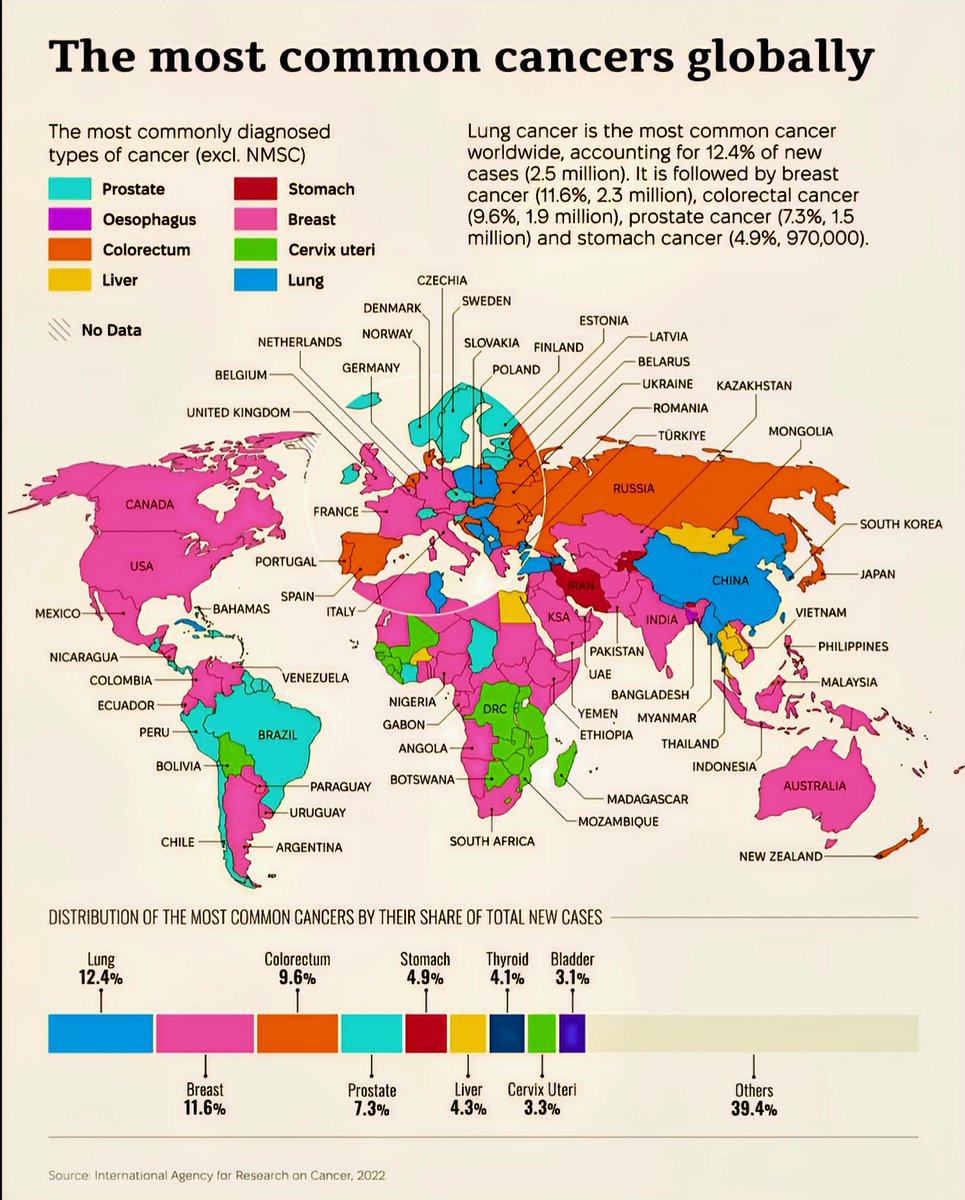 The Most Common Cancers Globally